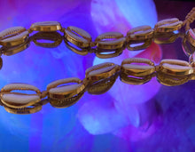 Load image into Gallery viewer, Bohemian Golden Shell Necklace